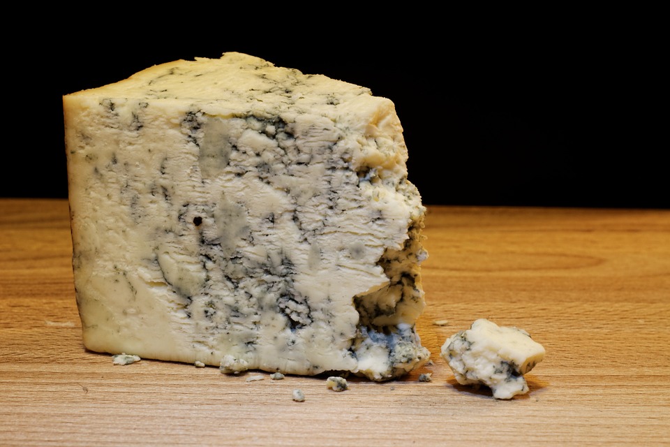 Plavi, "buđavi" francuski sirevi